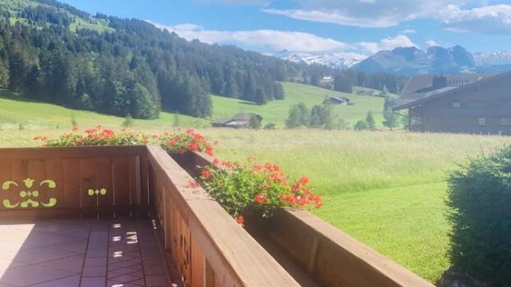SKI IN LUXURY CHALET - GSTAAD