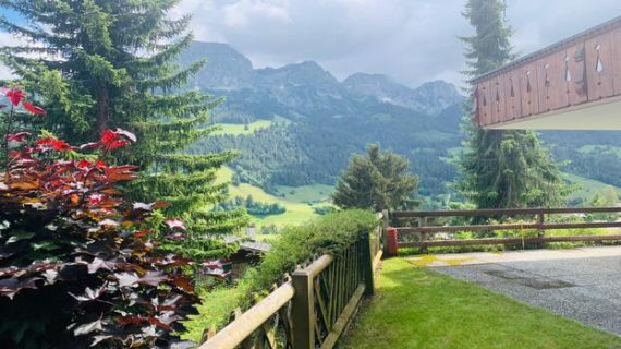 FRESH ELEGANT CHALET IN THE HIGHLANDS OF ROUGEMONT