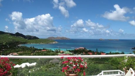 Relaxing Views