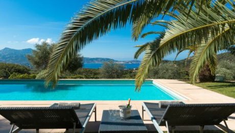 Elegant Palms Villa
