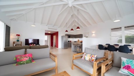 Summer Citadel Villa in Colombier Area