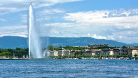 geneva resize